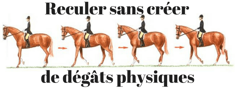 Pourquoi Et Comment Pratiquer Le Reculer Sans Faire De Degats Physiques Progresser Avec Son Cheval