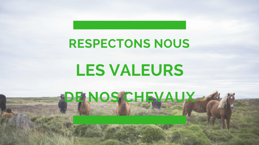 Respectons nous les valeurs de nos chevaux ?  Progresser avec son Cheval