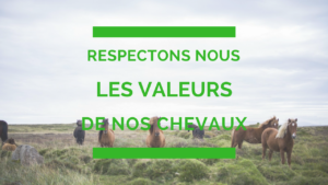 Respectons nous les valeurs de nos chevaux