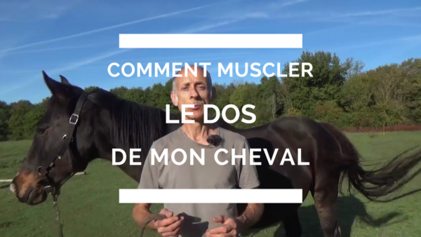 Comment je peux muscler le dos de mon cheval - Progresser avec son Cheval