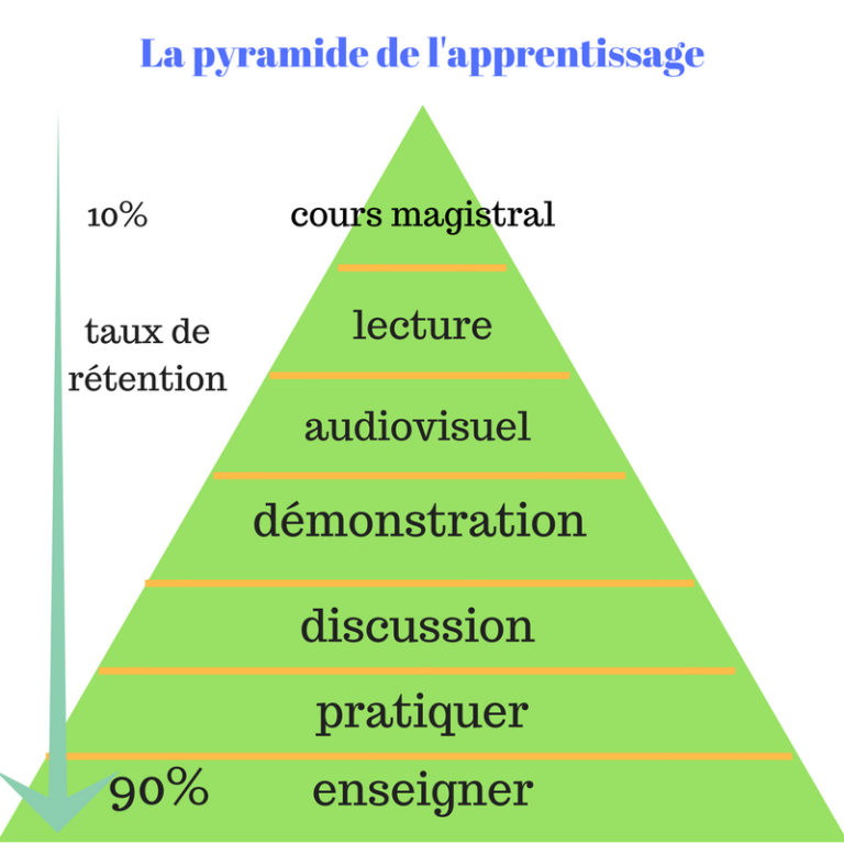 La Pyramide De L Apprentissage Progresser Avec Son Cheval